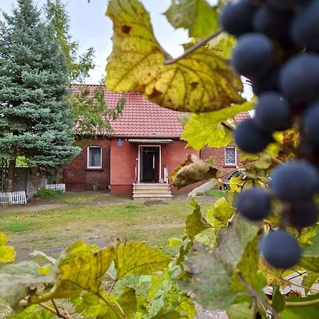 Domek Przy Maja Milicz Zewnętrze zdjęcie